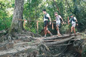 BIB: 
                            <button type="button" onclick="openModal(27743784)" class="btn btn-primary btn-sm float-right btn-popup" data-toggle="modal" data-target=".modal-high-quality">
                        <i class="fas fa-shopping-cart"></i> Add to Cart
                    </button>
                                            <button type="button" onclick="isThisMe(27743784, true)" class="btn btn-success btn-sm float-right btn-popup btn-isme hidden" data-toggle="tooltip" data-placement="bottom" title="นี่คือรูปของคุณใช่ไหม คลิกที่นี่เพื่อเอาเข้าอัลบั้ม">
                        <i class="fas fa-plus"></i> Add to album
                    </button>
                    <button type="button" onclick="isThisMe(27743784, false)" class="btn btn-warning btn-sm float-right btn-popup btn-isnotme hidden">
                        <i class="fas fa-ban"></i> Remove from album
                    </button>